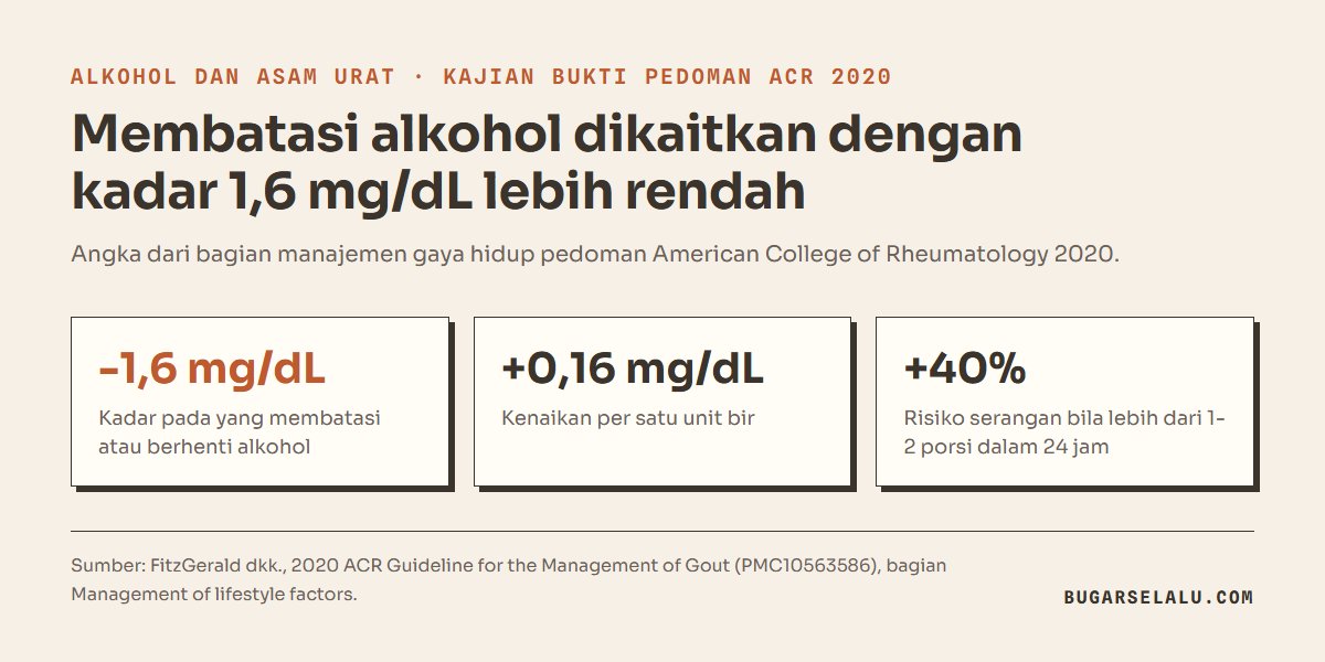 Kartu angka dari pedoman ACR 2020: kadar asam urat 1,6 mg/dL lebih rendah pada yang membatasi alkohol, satu unit bir menaikkan sekitar 0,16 mg/dL, risiko serangan 40 persen lebih tinggi bila minum lebih dari 1 sampai 2 porsi dalam 24 jam