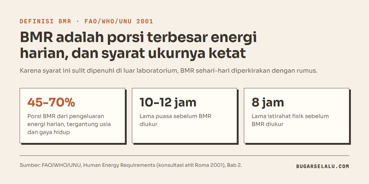 Tiga kartu angka: BMR mengisi 45 sampai 70 persen pengeluaran energi harian, diukur setelah puasa 10 sampai 12 jam dan istirahat fisik 8 jam