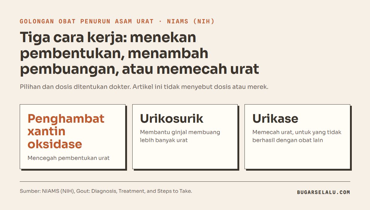 Kartu tiga golongan obat penurun asam urat menurut NIAMS: penghambat xantin oksidase mencegah pembentukan urat, urikosurik membantu ginjal membuang urat, urikase memecah urat untuk yang tidak berhasil dengan obat lain