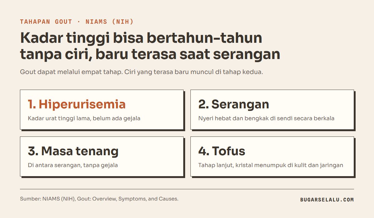 Kartu empat tahap gout menurut NIAMS: hiperurisemia tanpa gejala, serangan nyeri dan bengkak berkala, masa tenang di antara serangan, dan tofus sebagai tahap lanjut