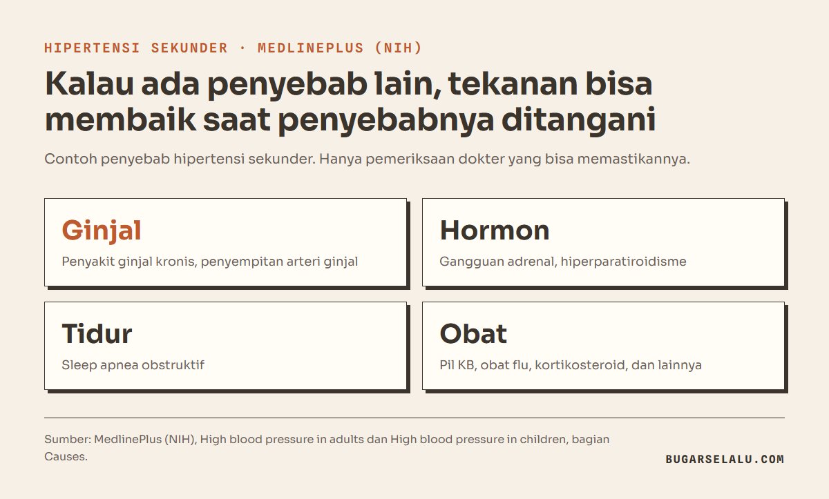 Kartu penyebab hipertensi sekunder menurut MedlinePlus: penyakit ginjal kronis, gangguan kelenjar adrenal, sleep apnea obstruktif, dan obat tertentu