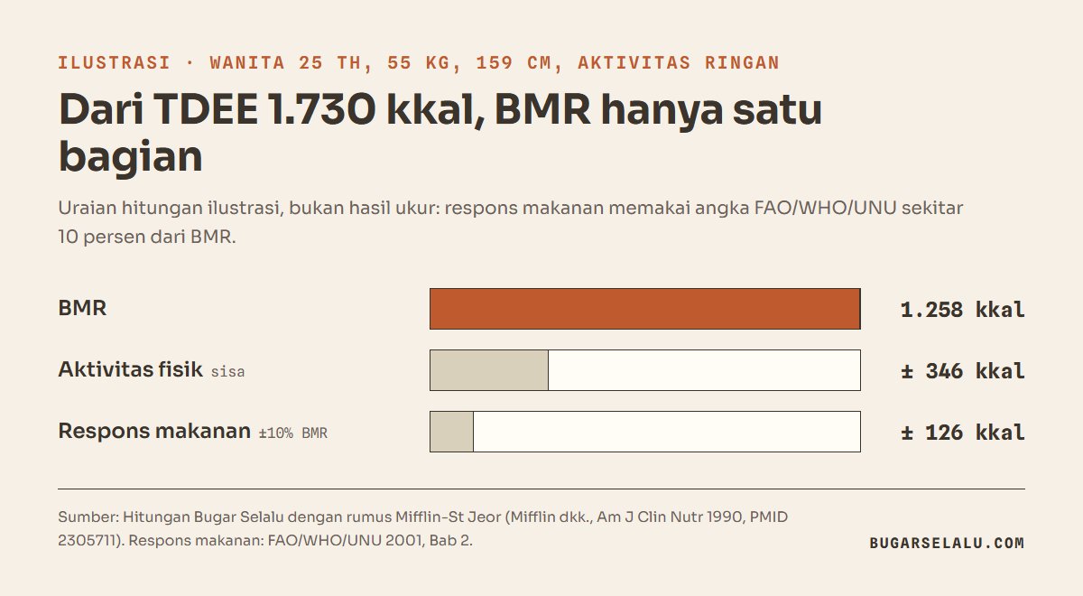 Diagram batang uraian TDEE 1.730 kkal: BMR 1.258 kkal, aktivitas fisik sekitar 346 kkal, respons terhadap makanan sekitar 126 kkal