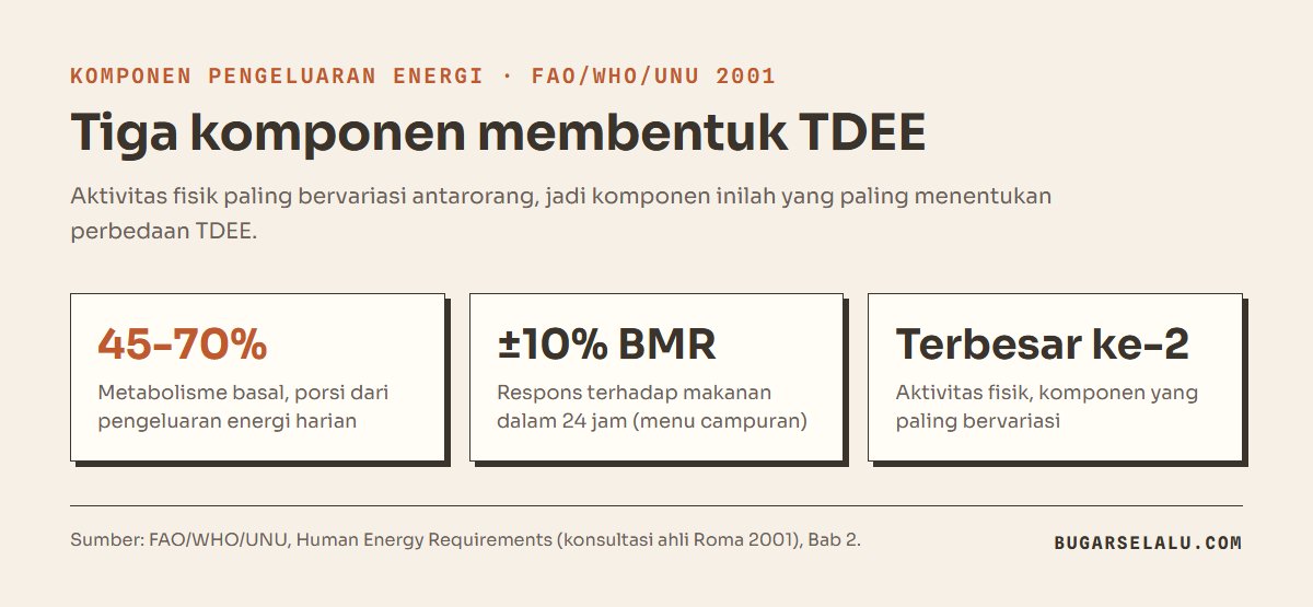 Tiga kartu: metabolisme basal 45 sampai 70 persen pengeluaran energi harian, respons terhadap makanan sekitar 10 persen dari BMR, aktivitas fisik komponen terbesar kedua dan paling bervariasi