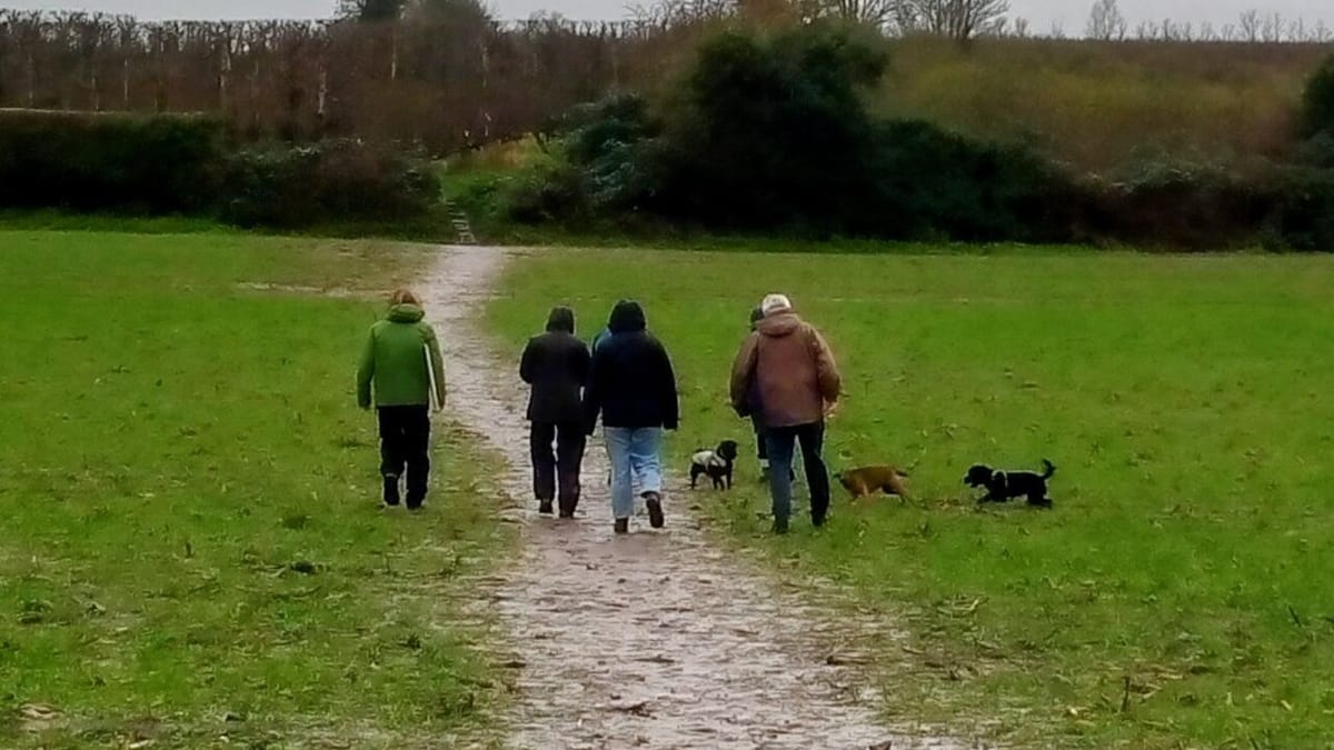 Tiga orang berjalan kaki menyusuri jalan setapak di padang rumput hijau bersama beberapa anjing, terlihat dari belakang