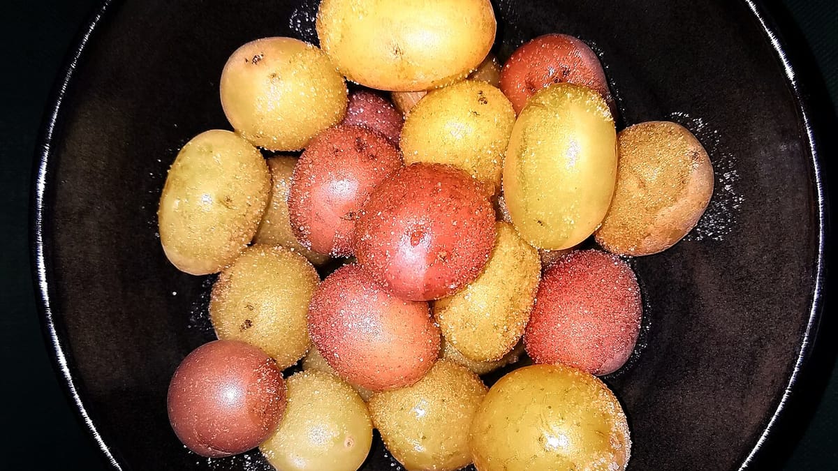 Kentang kecil utuh berkulit kuning dan merah yang sudah direbus, ditaburi garam kasar di dalam wadah gelap.