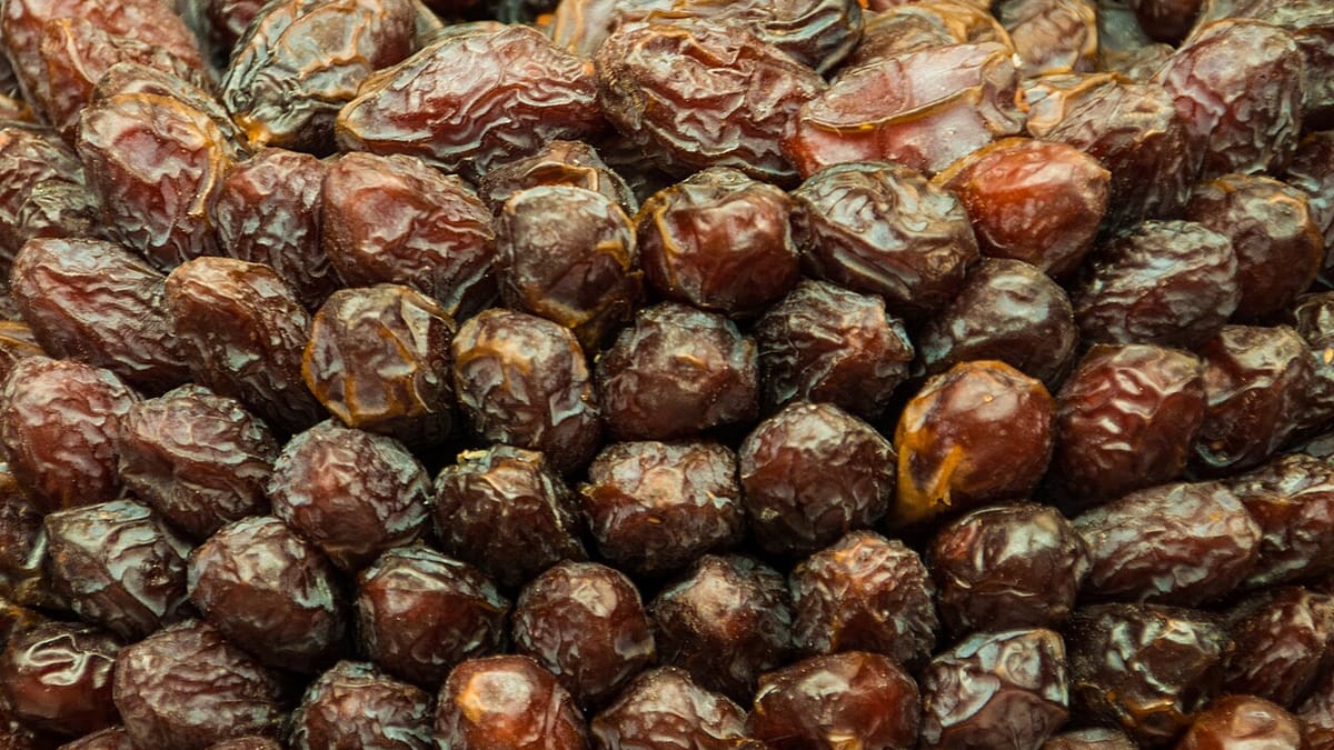 Tumpukan buah kurma berwarna cokelat tua mengilap dengan kulit berkerut, difoto dari dekat.