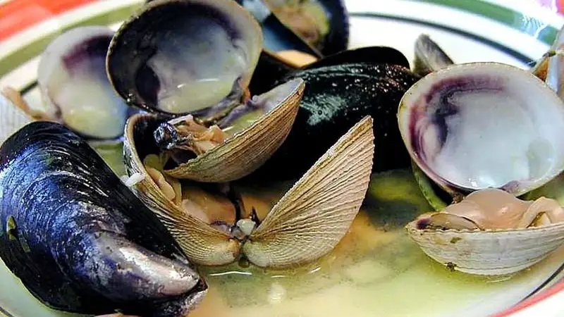 Kerang tahu dan kerang biru matang dengan cangkang terbuka di dalam kuah pada piring, contoh makanan laut kaya vitamin B12.
