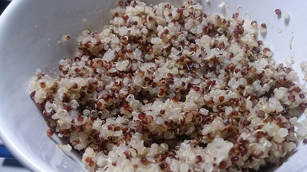 Quinoa matang berwarna putih dan merah kecokelatan tersaji dalam mangkuk putih.