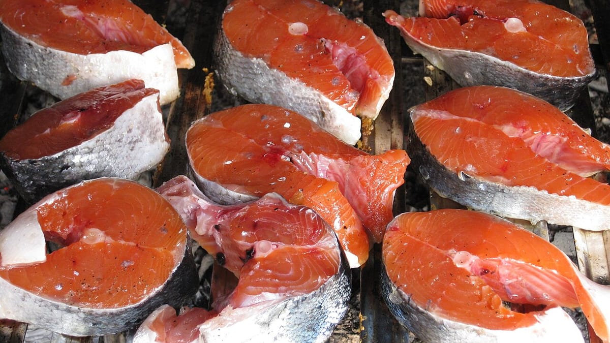 Potongan steak ikan salmon mentah berwarna oranye tersusun di atas rak, salah satu ikan berlemak yang menjadi sumber vitamin D.